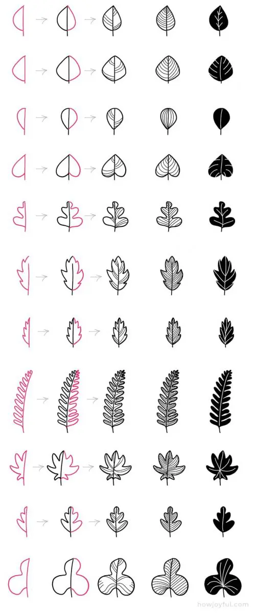 How to Draw a Leaf Step by Step | Envato Tuts+