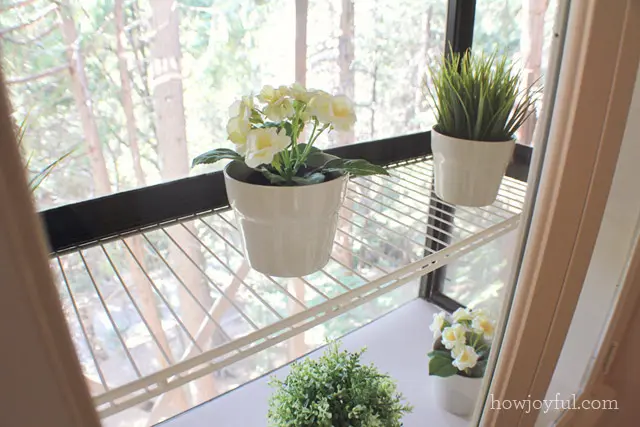 window