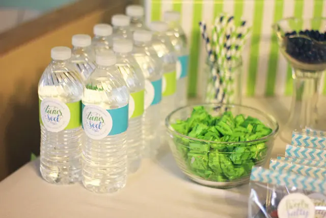 fiesta ideas
