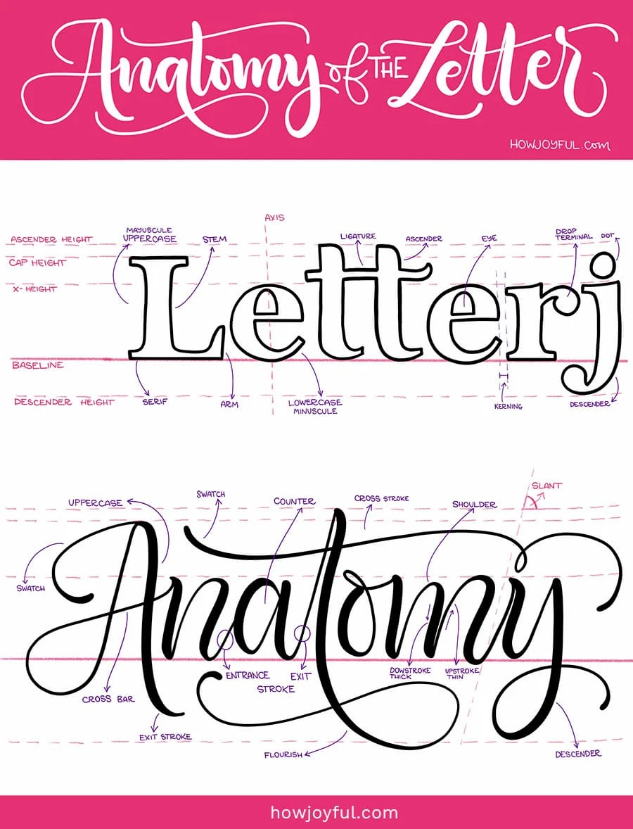 anatomy of letters