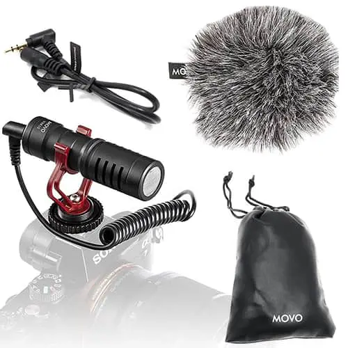 small microphone