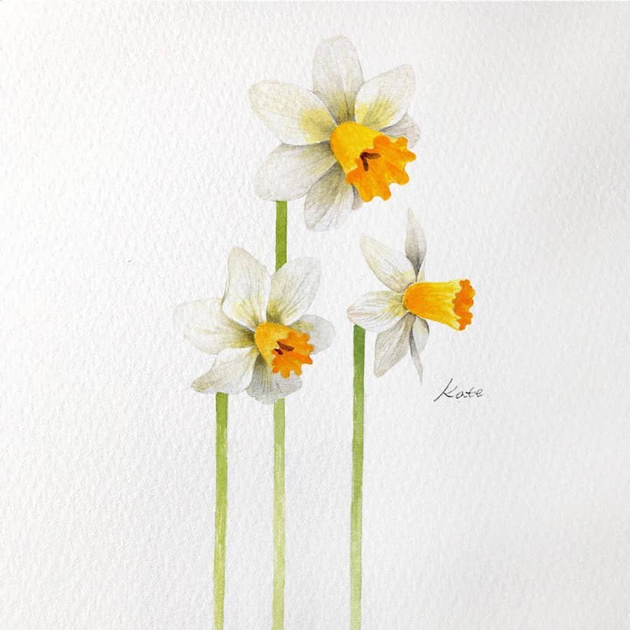 Daffodil watercolor