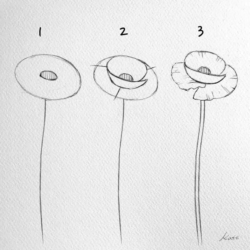 Flower Drawing Draw an easy flower step by step tutorial Feature