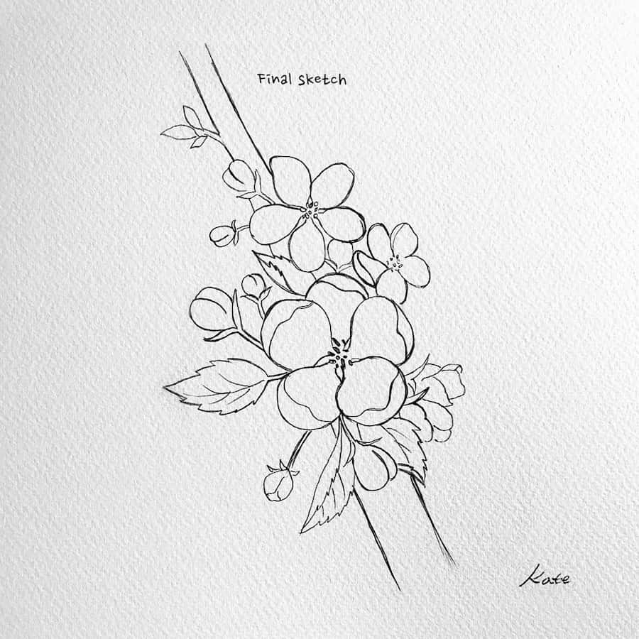 drawing apple blossom flowers