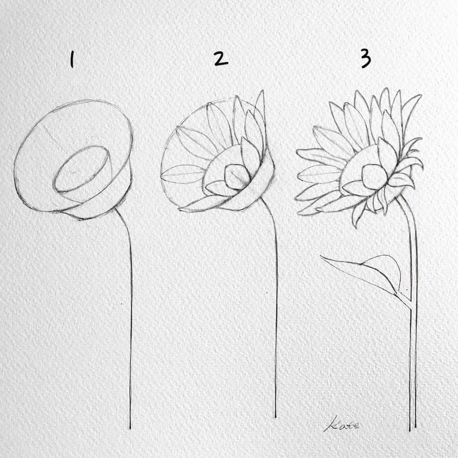 drawing a sunflower