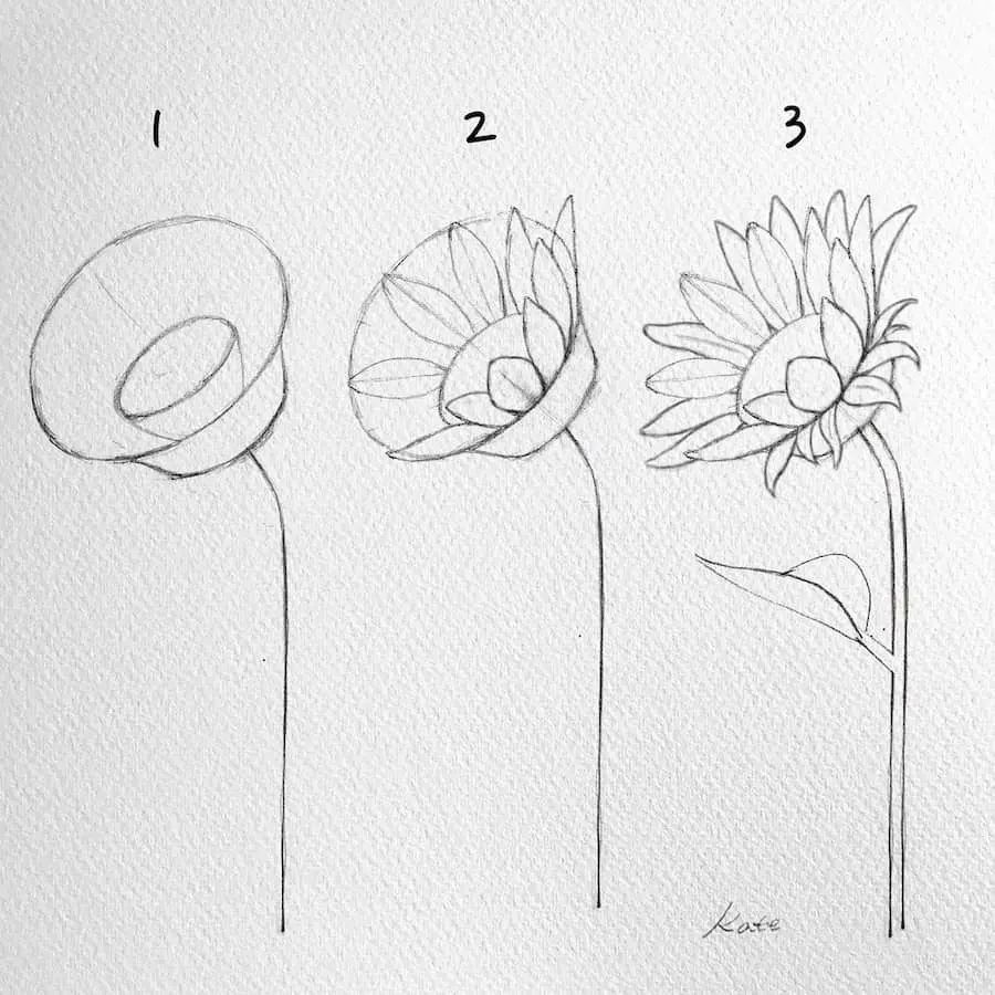 drawing a sunflower