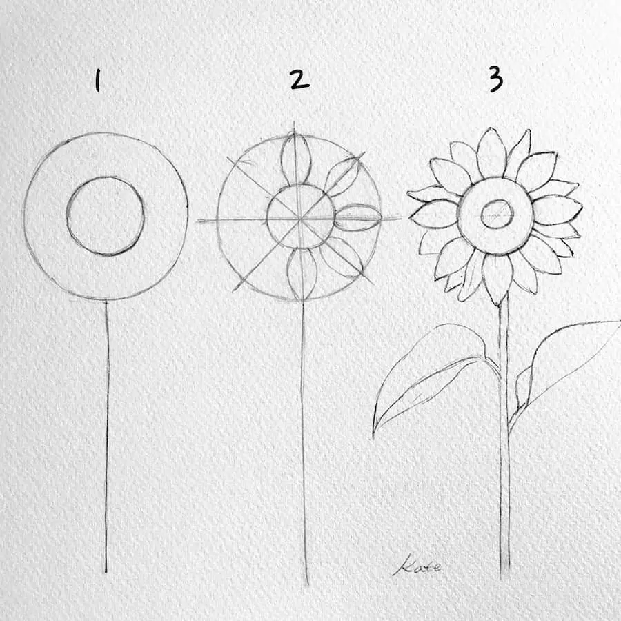 drawing a sunflower