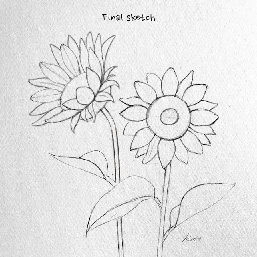 Illustrative flower and plant pencil drawings | Artfinder