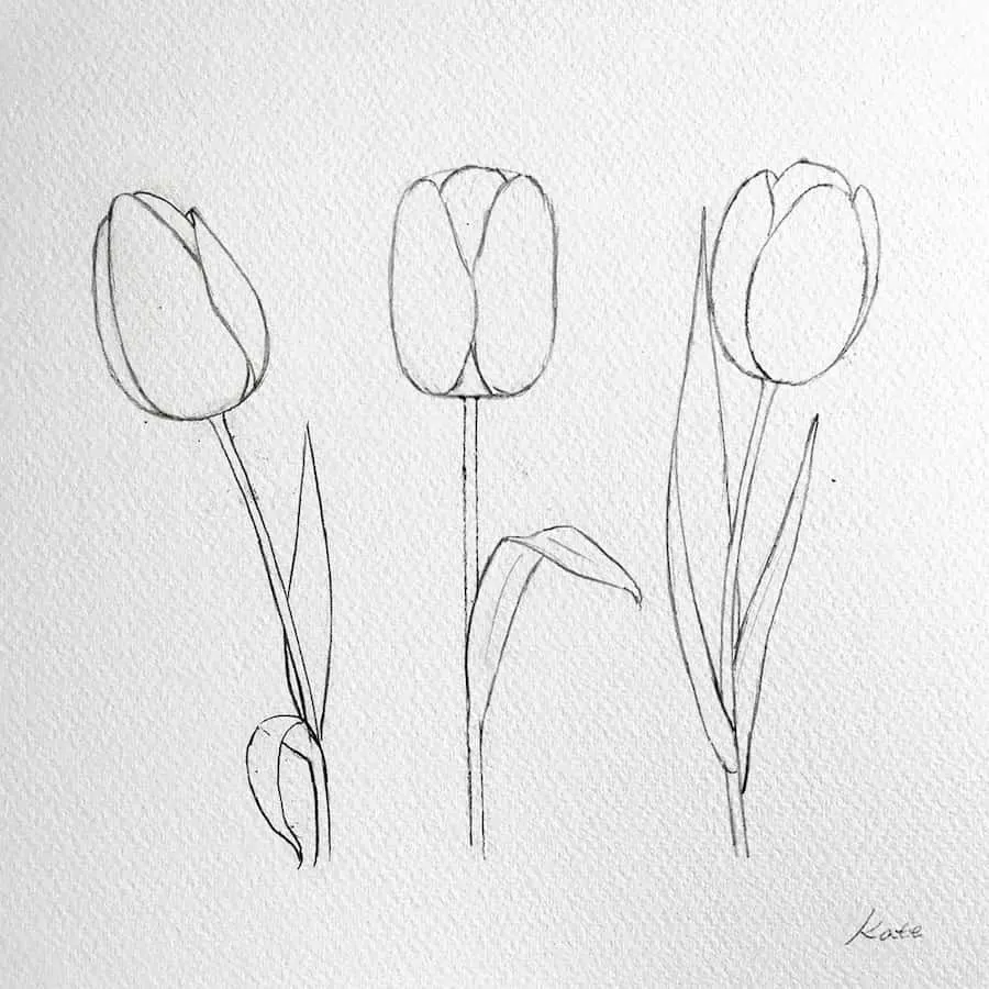 Simple flower sales pencil drawing