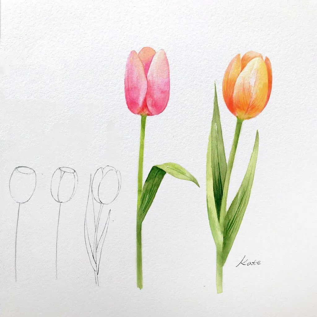 45 Beautiful Flower Drawings and Realistic Color Pencil Drawings