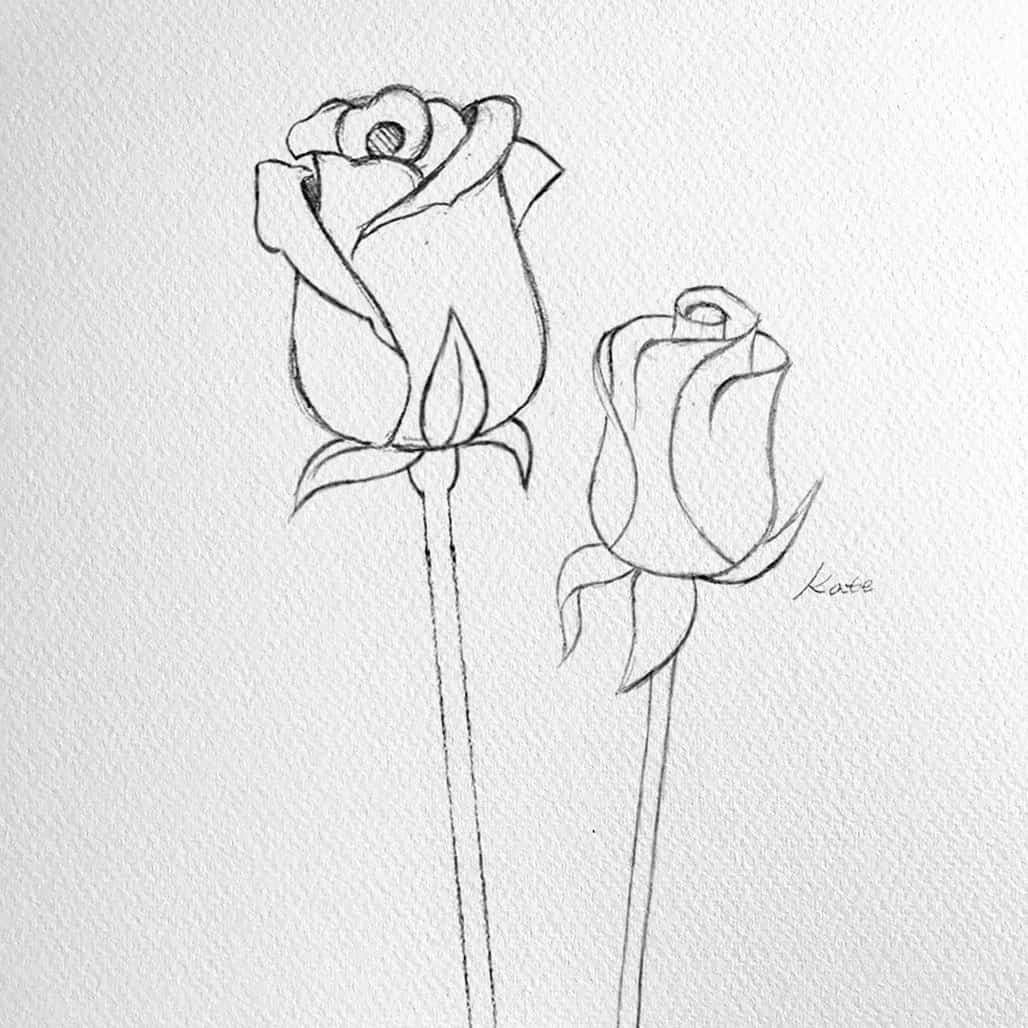 most beautiful flower drawings