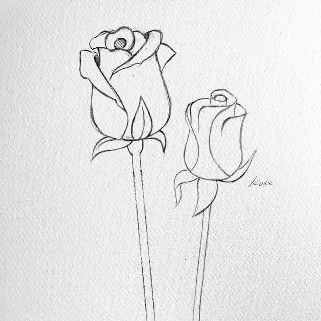 how to draw a simple rose