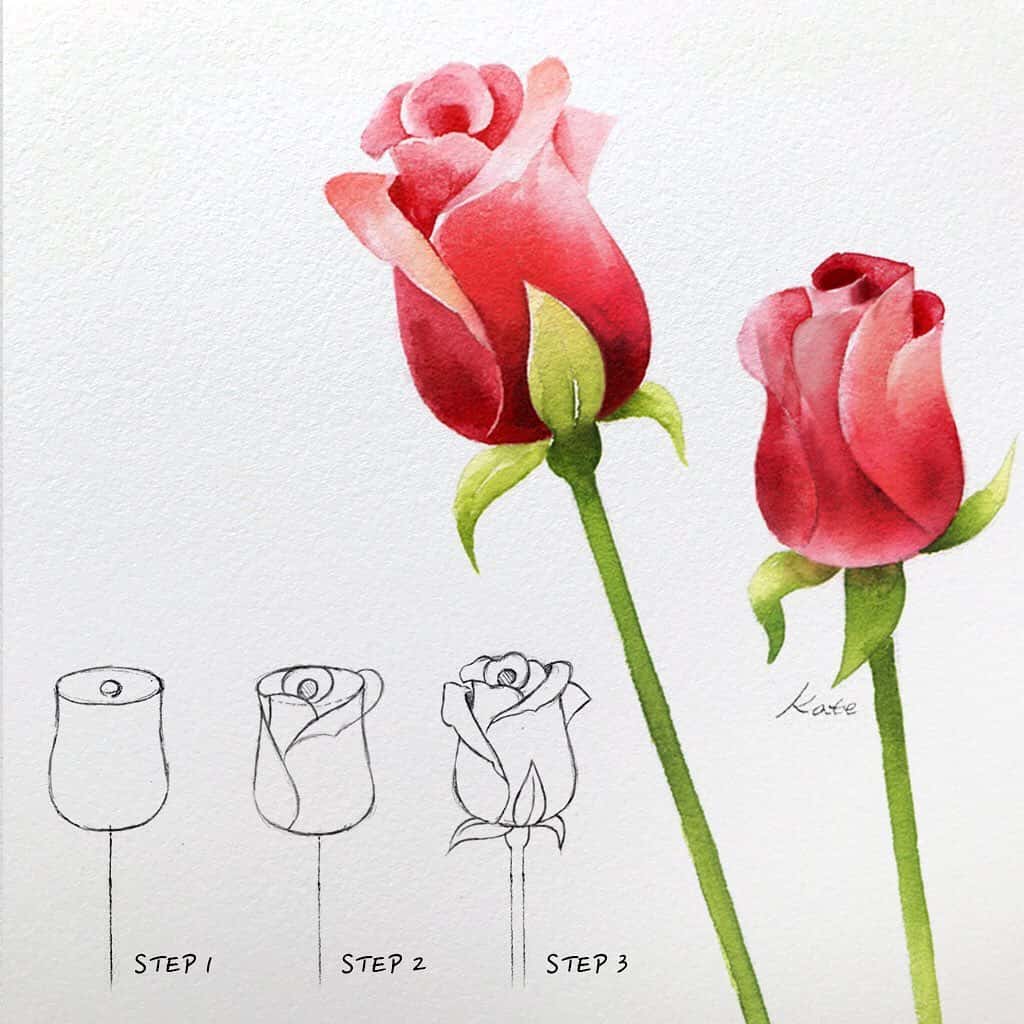 drawing and painting a rose