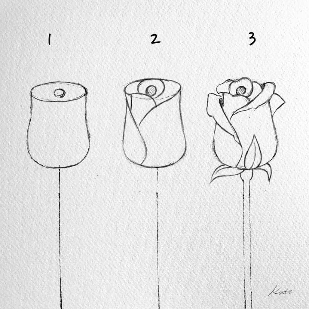 how to draw a simple rose