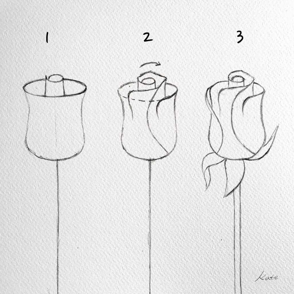 how to draw a simple rose