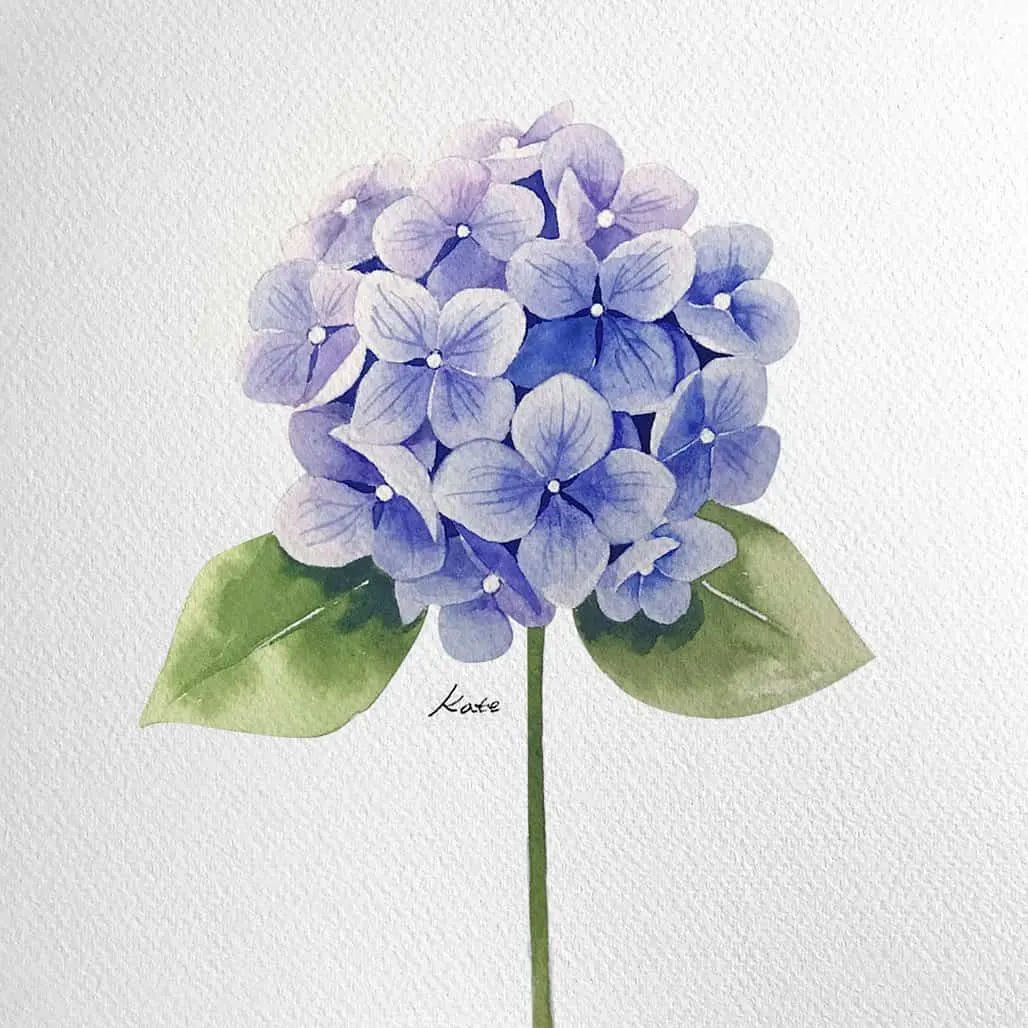 painted Hydrangeas