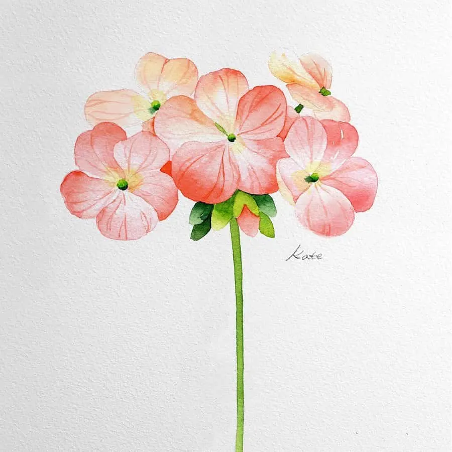 painting Geranium flower