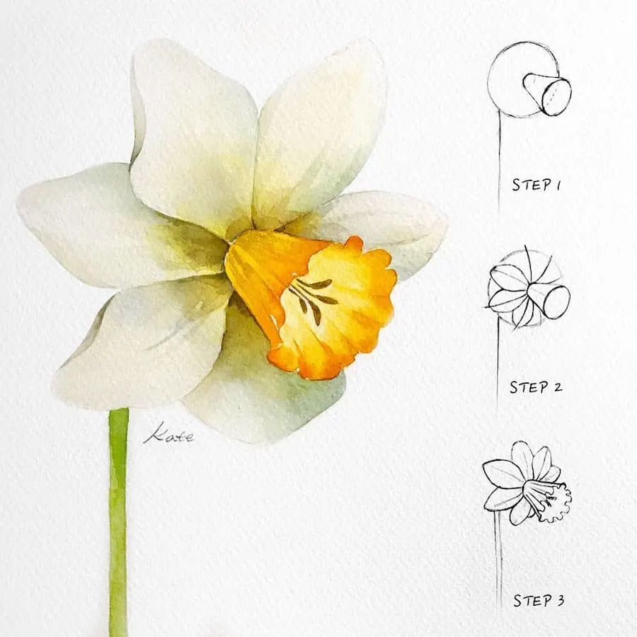 painting a Daffodil