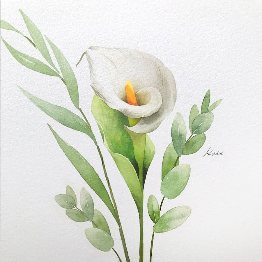 watercolor calla lily