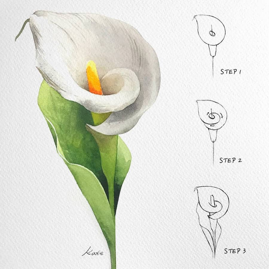 painting a calla lily