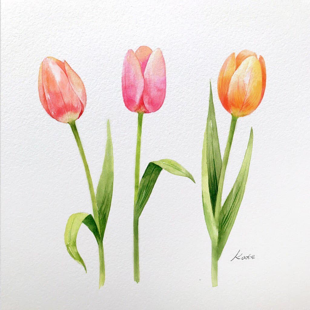 painting a tulip