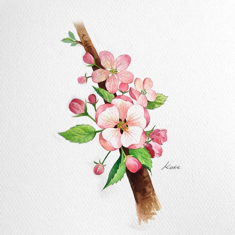 watercolor apple blossom