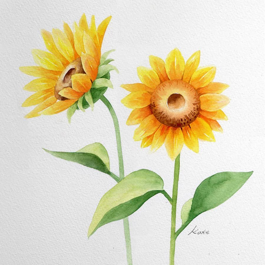 watercolor sunflower