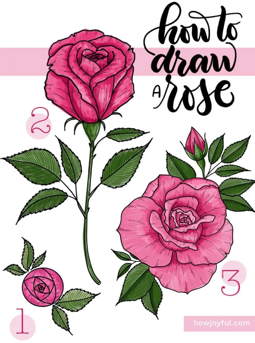 How To Draw A Rose How To Draw A Flower Easy Drawing Tutorial For