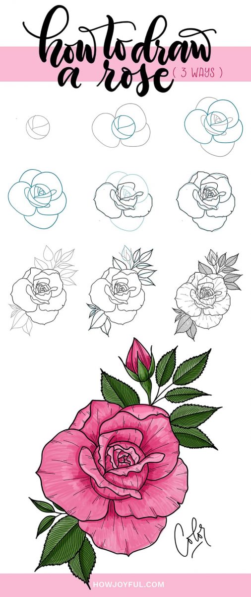 How to Draw a Rose: A Step by Step Guide