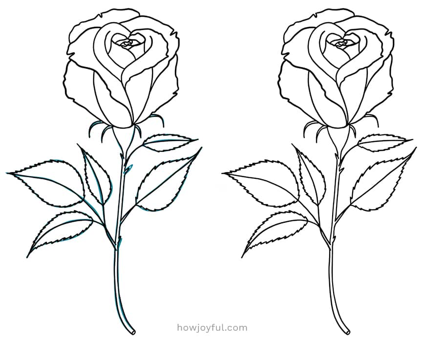 rose draw