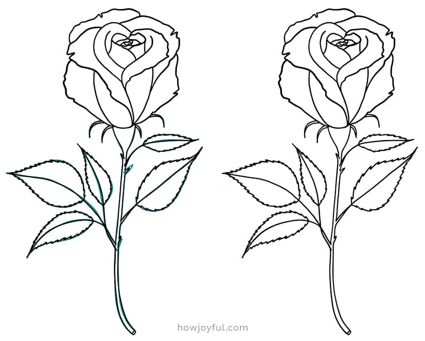 26 Rose Drawing