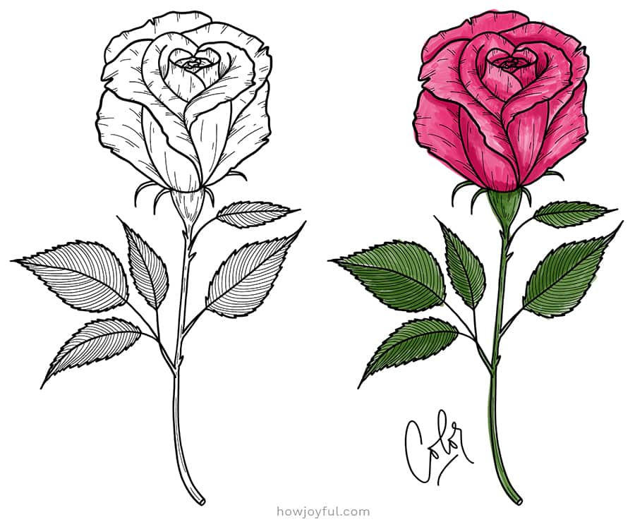 How To Draw Roses - Happy Family Art