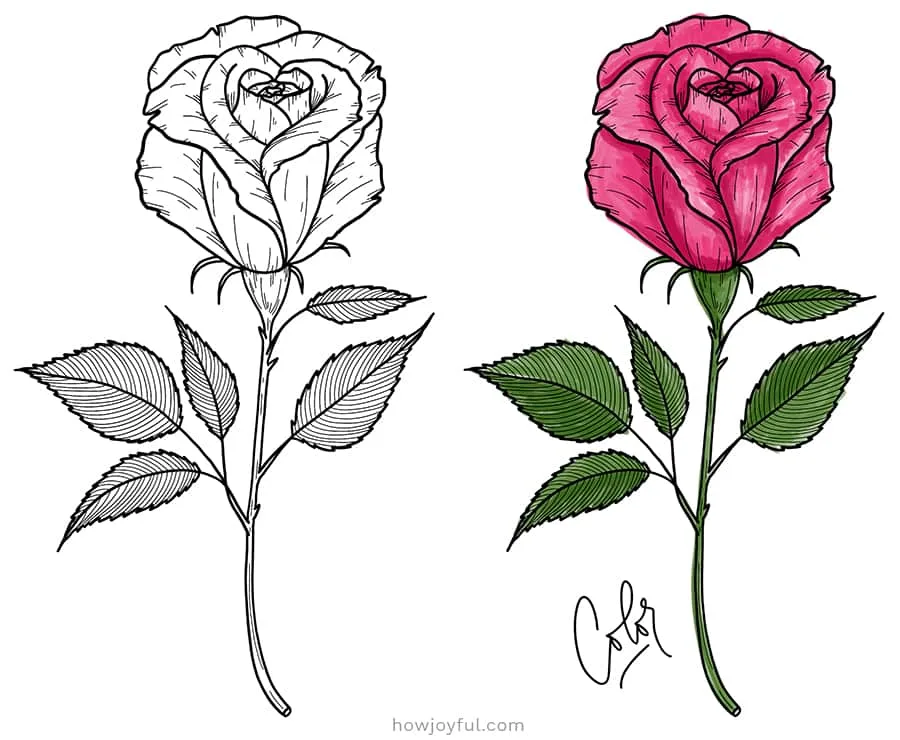 How to Draw a Rose, a Simple Step-by-Step Guide – GVAAT'S WORKSHOP