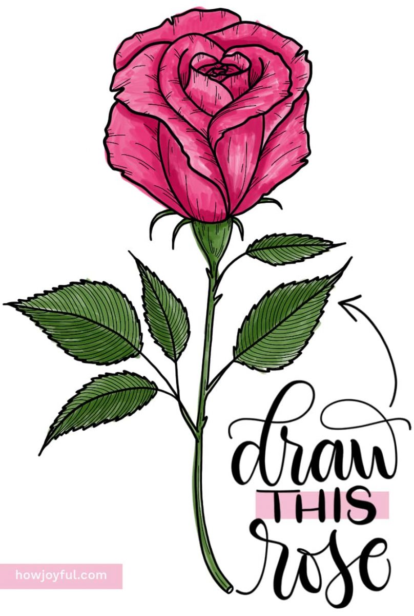 Rose Drawing - How To Draw A Rose Step By Step