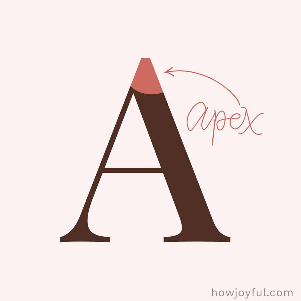 Type glossary Apex