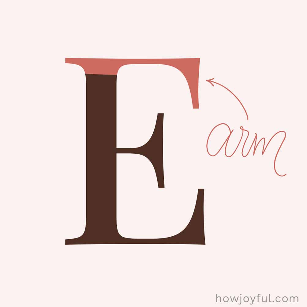 Type glossary Arm