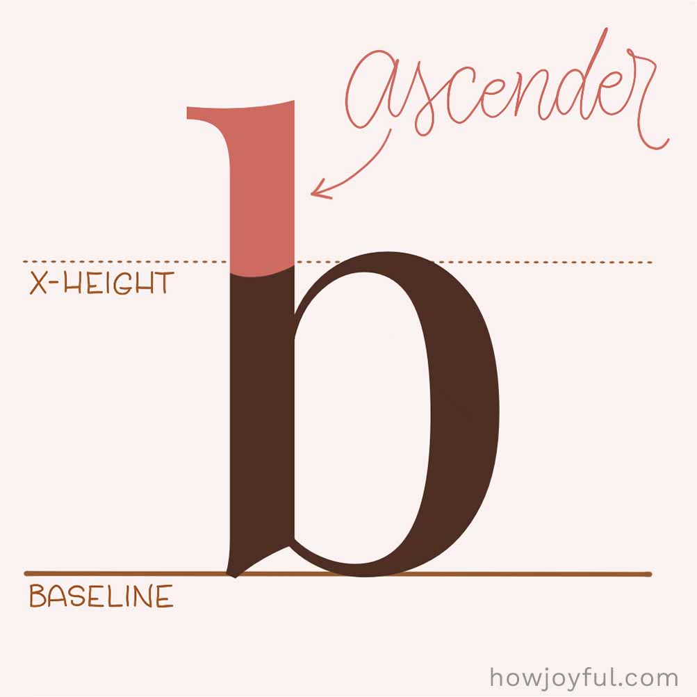 Type glossary Ascender