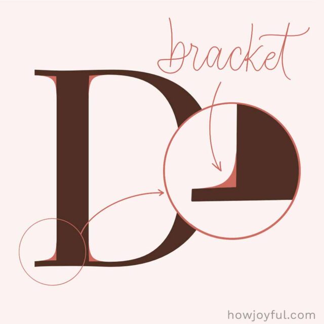 The Ultimate Typography Glossary for Lettering Beginners