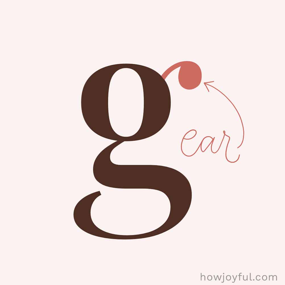 Type glossary Ear