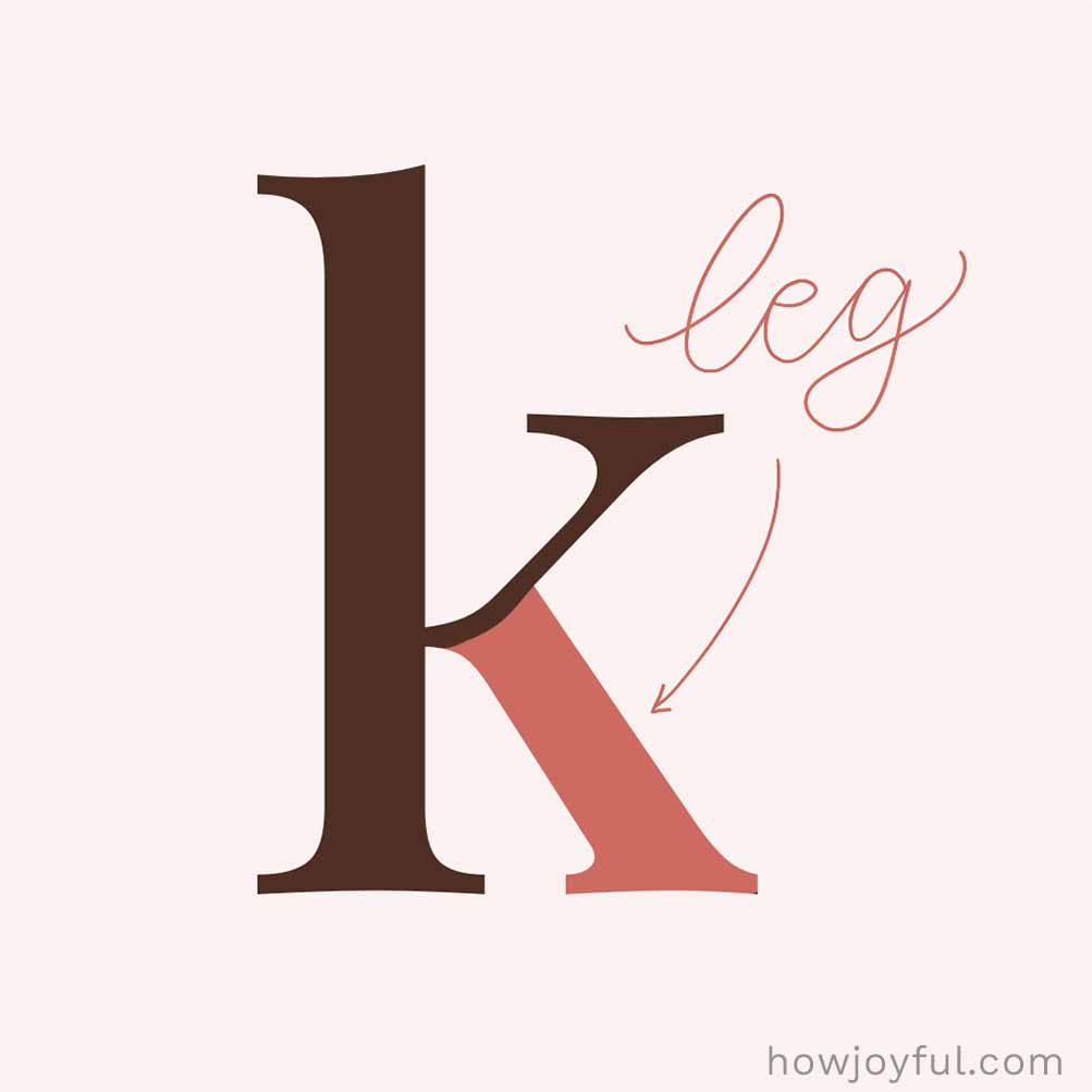 Type glossary Leg