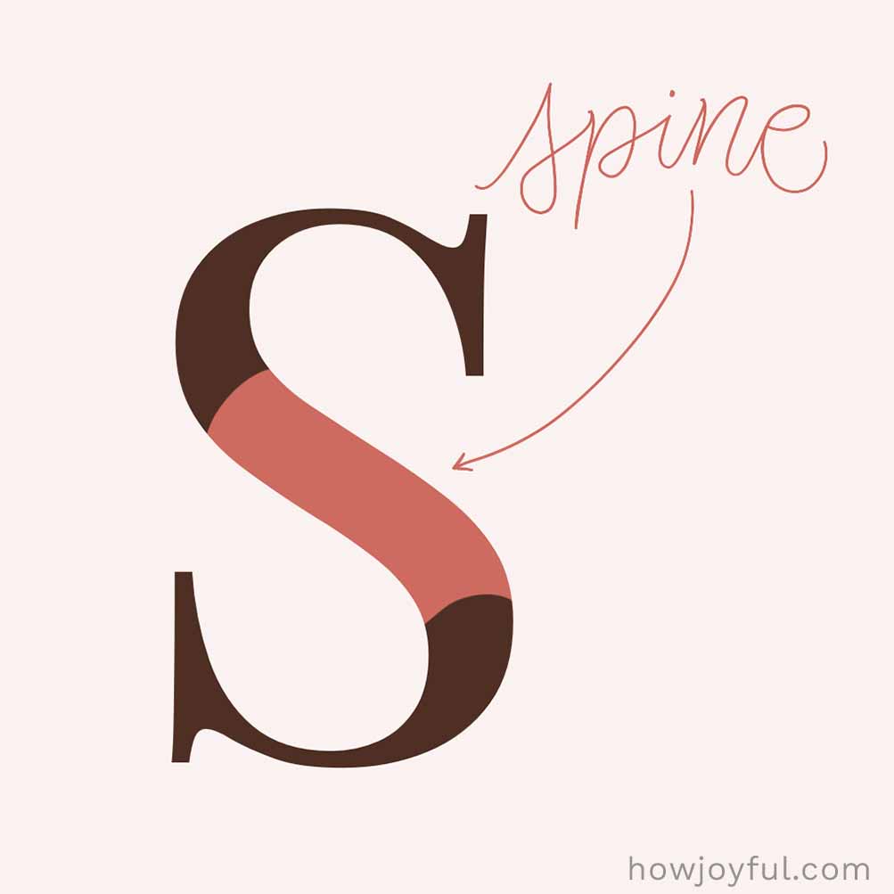 Type glossary Spine