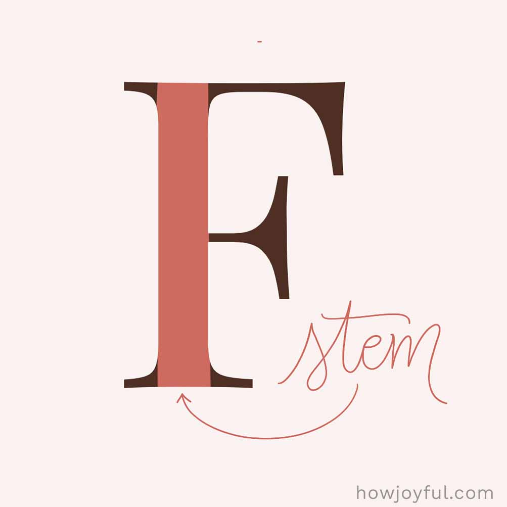 Type glossary Stem